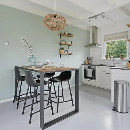 Alexanderpark 209 - Ouddorp Holiday home